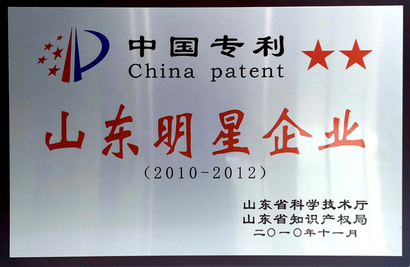 中國專利山東明星企業
