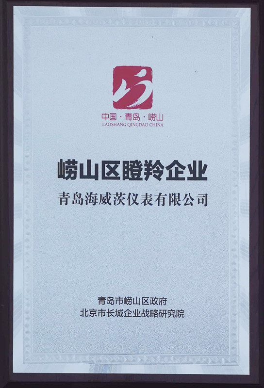 嶗山區瞪羚企業