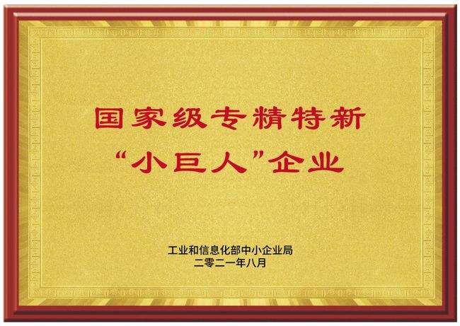 國家級專精特新“小巨人”企業